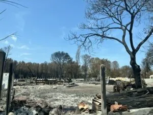 « L’avenue de la désolation » : dans les ruines de l’incendie de Gironde