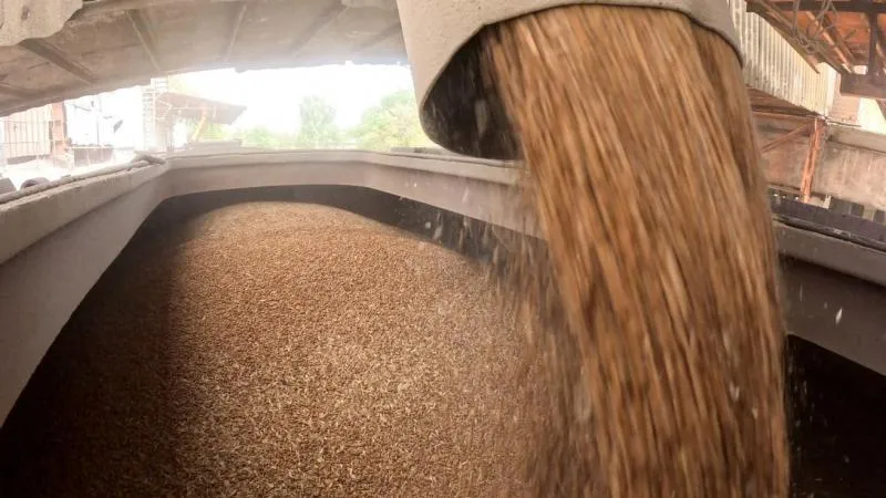 Lout : la Russie a récolté 135 millions de tonnes de céréales depuis le début de 2026