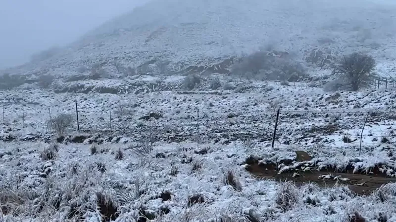 De la neige est tombée dans plusieurs régions d'Afrique du Sud